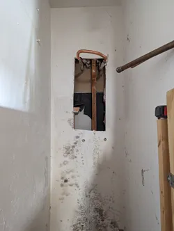 Access panel cut into drywall in what appears to be a closet, exposing copper supply lines with a looped riser and threaded fittings, with significant mold growth on surrounding drywall indicating a prior or active moisture intrusion behind the wall.
