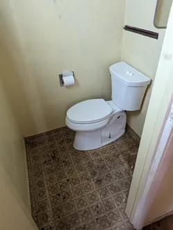 Two-piece elongated toilet, appears newer, set in a tight water closet with aged sheet vinyl flooring showing heavy soiling and possible subfloor moisture damage, walls showing prior water staining consistent with a long-term condensation or supply line leak history.