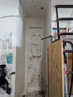 Interior utility/garage wall showing copper supply stub-outs with a removed water heater rough-in, significant mold growth and moisture staining on drywall indicating a past or active leak, with black ABS drain piping overhead and a fire sprinkler head at ceiling.